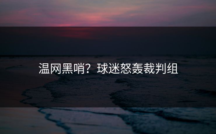 温网黑哨？球迷怒轰裁判组