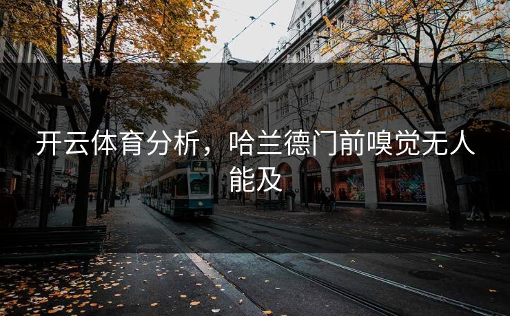 开云体育分析，哈兰德门前嗅觉无人能及