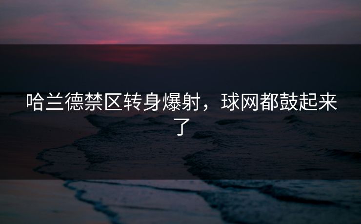 哈兰德禁区转身爆射，球网都鼓起来了