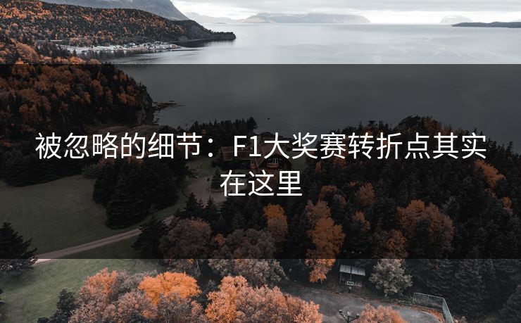 被忽略的细节:F1大奖赛转折点其实在这里 被忽略的细节:F1大奖赛转折点其实在这里