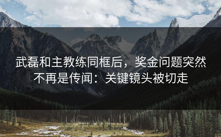 武磊和主教练同框后,奖金问题突然不再是传闻:关键镜头被切走 武磊和主教练同框后,奖金问题突然不再是传闻:关键镜头被切走